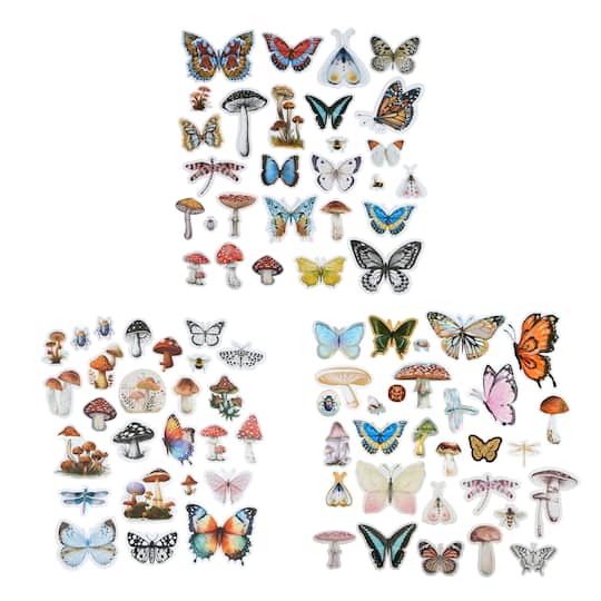 12 Pack: Nature Ephemera by Recollections™